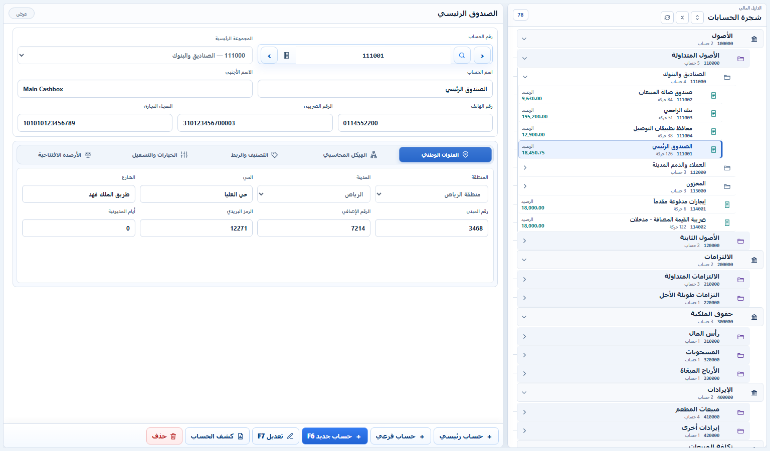 واجهة برنامج إدارة الحسابات المالية
